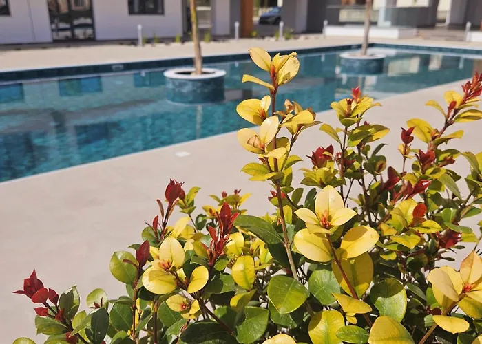 New, Modern Studio, Universal Residences パ フォス